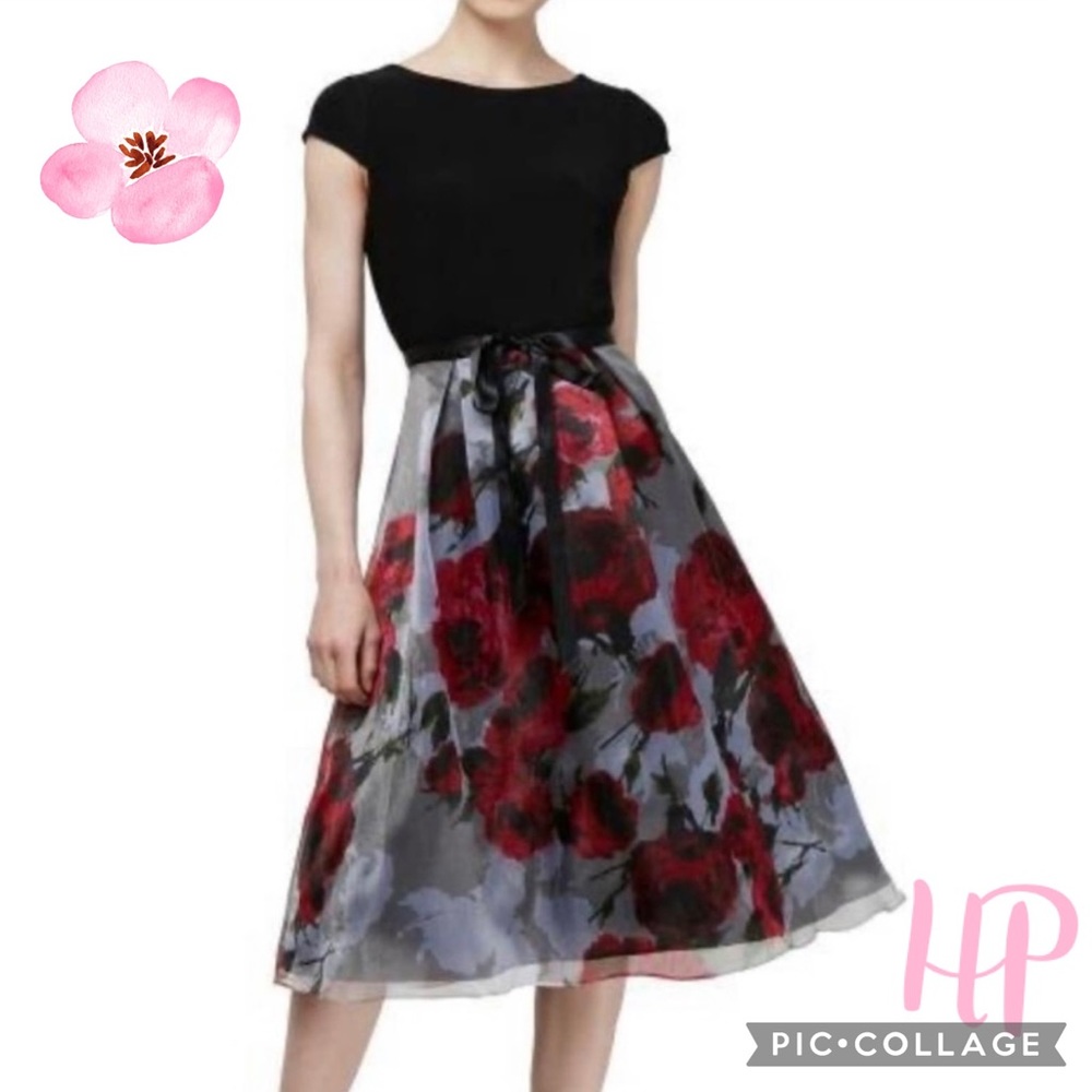 SLNY NORDSTROM Floral Cocktail Dress Rose Knee 16